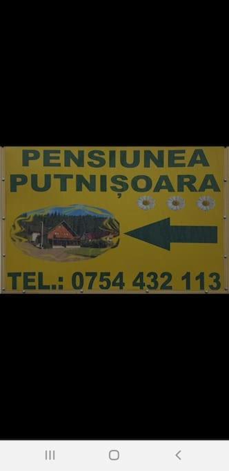 Pensiunea Putnisoara Exterior foto