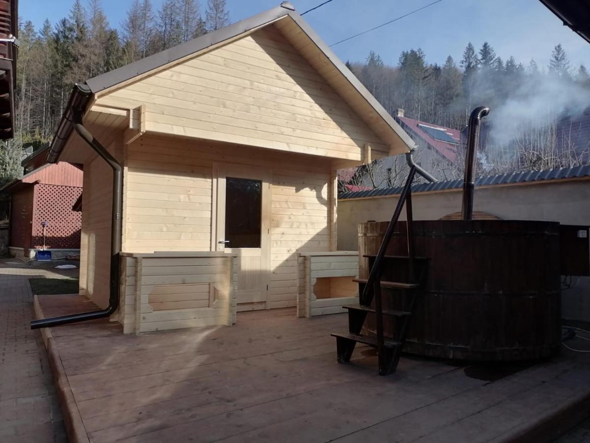 Pensiunea Putnisoara Exterior foto