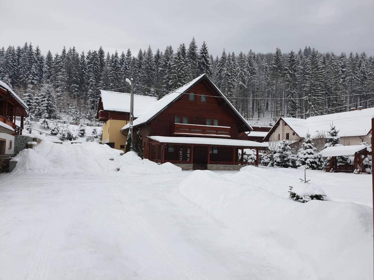 Pensiunea Putnisoara Exterior foto