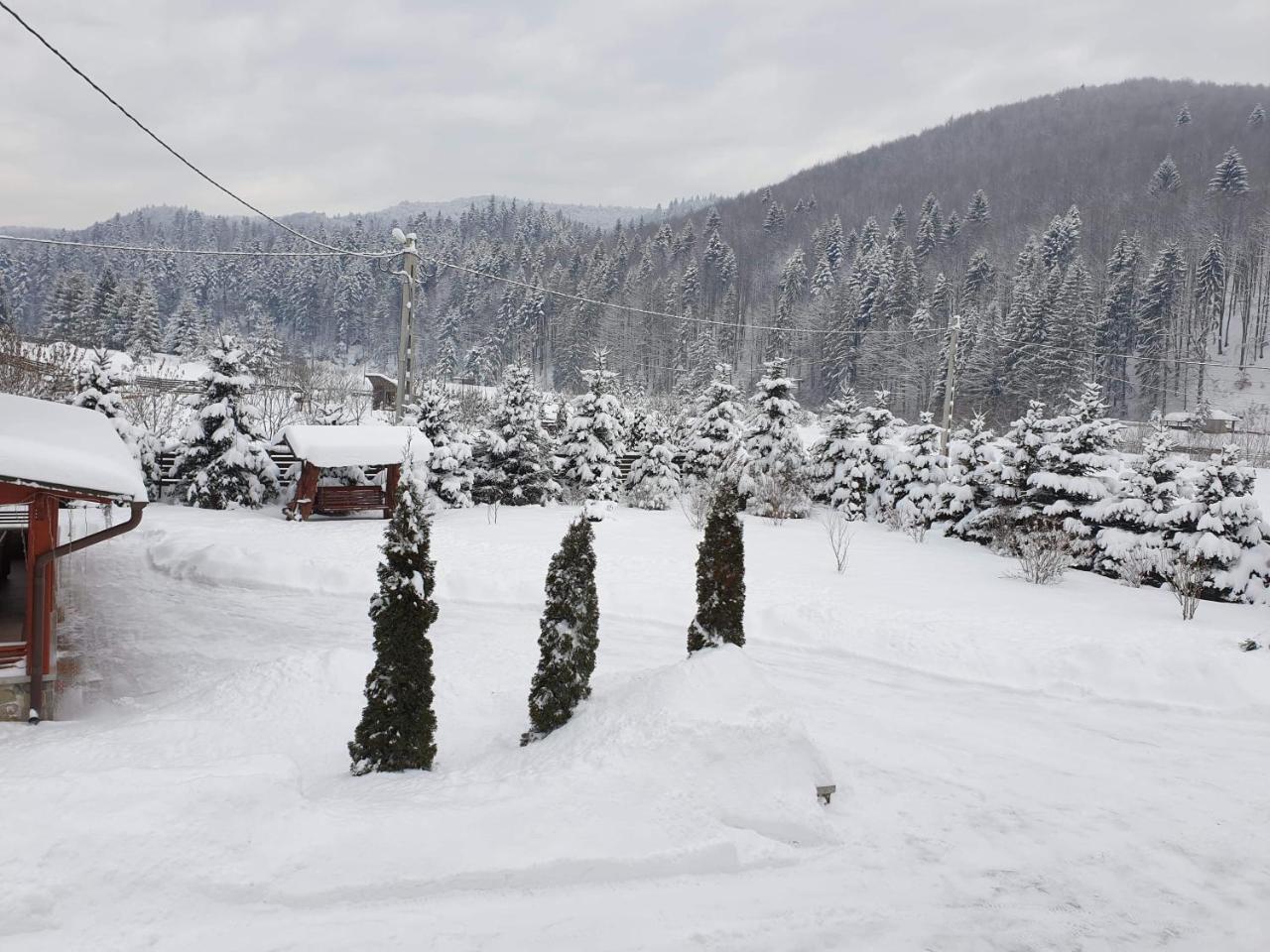 Pensiunea Putnisoara Exterior foto